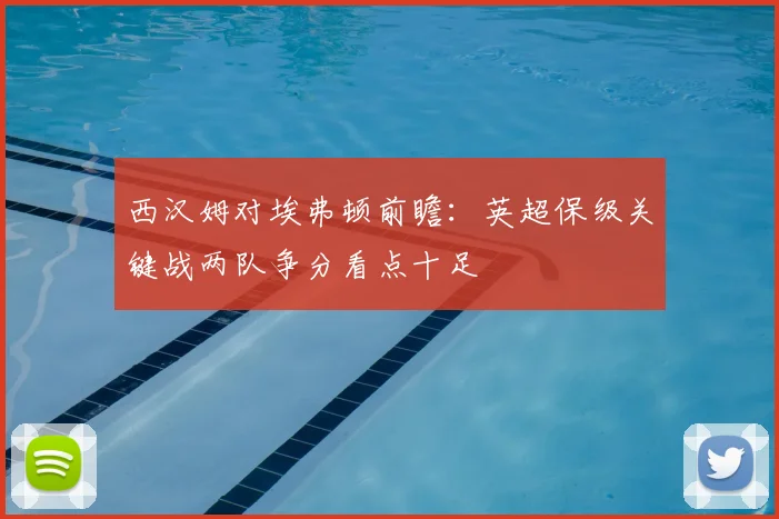 西汉姆对埃弗顿前瞻：英超保级关键战两队争分看点十足